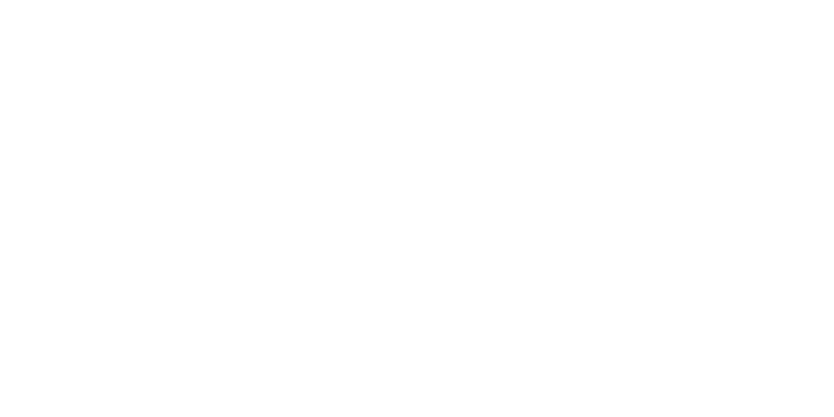 FNAM2020